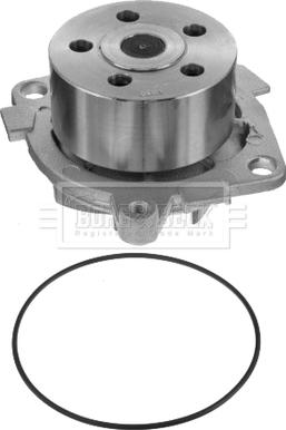 Borg & Beck BWP1864 - Ūdenssūknis autodraugiem.lv