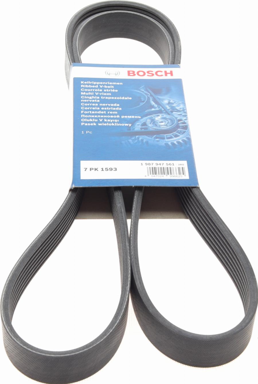 BOSCH 1 987 947 561 - Ķīļrievu siksna autodraugiem.lv