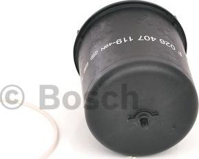 BOSCH F 026 407 119 - Eļļas filtrs autodraugiem.lv