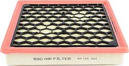 BSG BSG 65-135-021 - Gaisa filtrs autodraugiem.lv