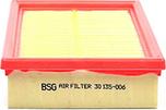 BSG BSG 30-135-006 - Gaisa filtrs autodraugiem.lv
