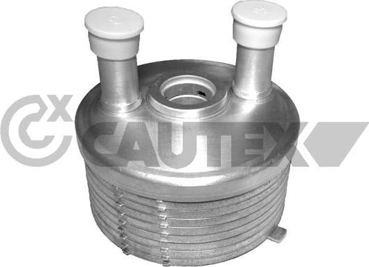 Cautex 462523 - Eļļas radiators, Motoreļļa autodraugiem.lv
