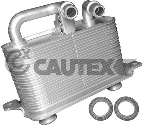 Cautex 751731 - Eļļas radiators, Motoreļļa autodraugiem.lv