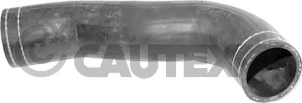 Cautex 767016 - Radiatora cauruļvads autodraugiem.lv