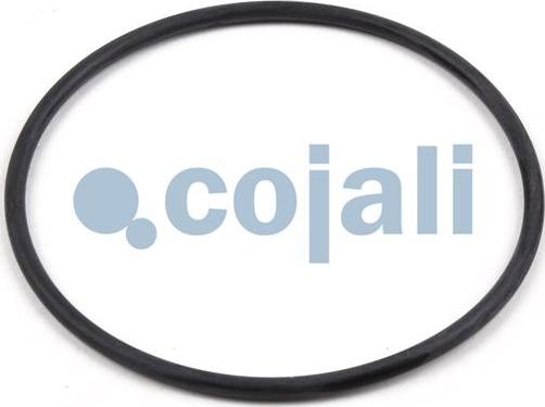 Cojali 6012014 - Remkomplekts, Darba cilindrs autodraugiem.lv