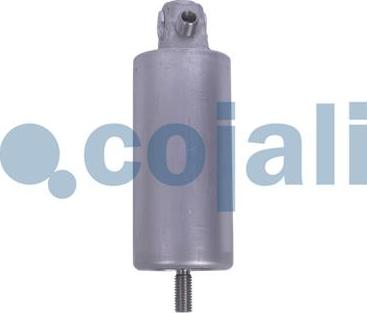 Cojali 2301402 - Darba cilindrs autodraugiem.lv