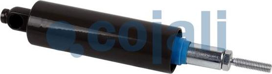 Cojali 2301201 - Darba cilindrs autodraugiem.lv