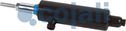 Cojali 2301201 - Darba cilindrs autodraugiem.lv
