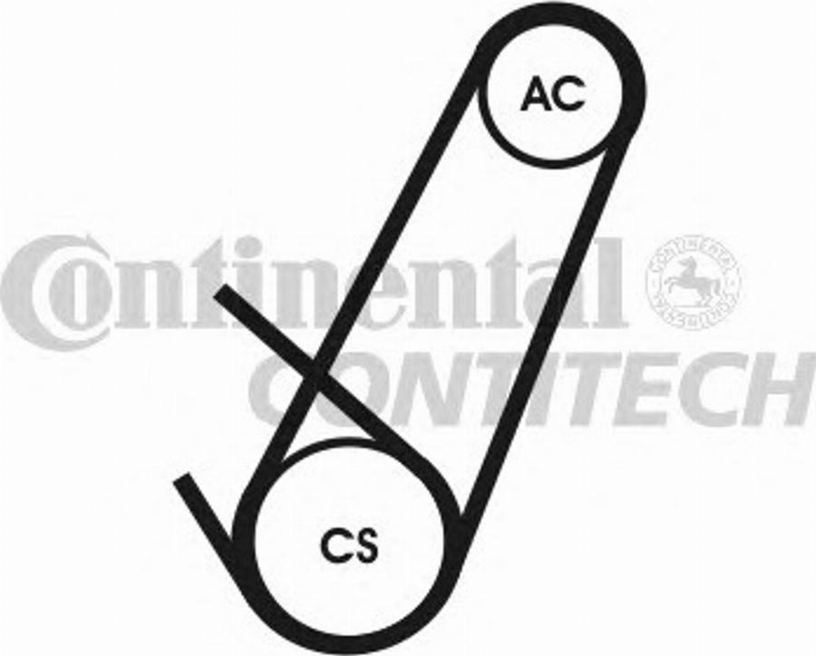 Contitech 4PK924 ELAST T1 - Ķīļrievu siksna autodraugiem.lv