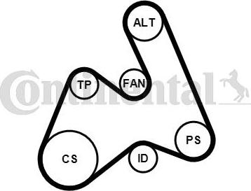 Contitech 5PK1592K1 - Ķīļrievu siksnu komplekts autodraugiem.lv