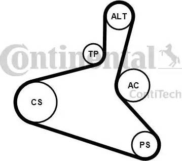 Continental 6DPK1195K2 - Ķīļrievu siksnu komplekts autodraugiem.lv