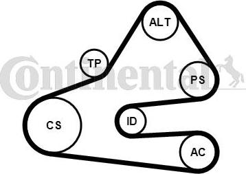 Contitech 6PK1613K1 - Ķīļrievu siksnu komplekts autodraugiem.lv