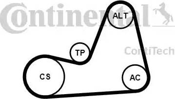 Continental 6PK1100K1 - Ķīļrievu siksnu komplekts autodraugiem.lv