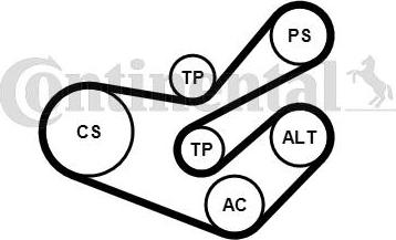 Contitech 6PK1750K3 - Ķīļrievu siksnu komplekts autodraugiem.lv