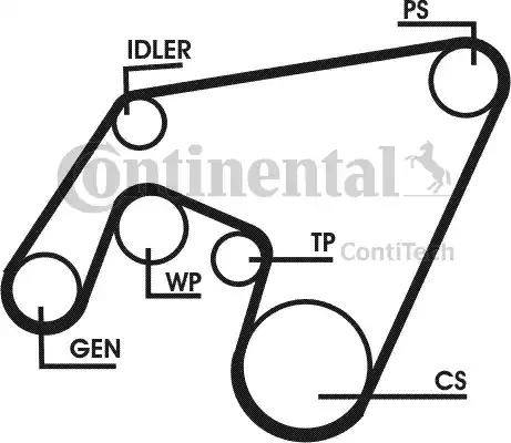 Continental 6PK2160D1 - Ķīļrievu siksna autodraugiem.lv