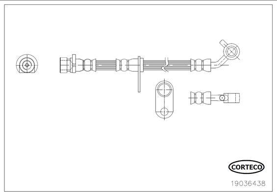 Corteco 19036438 - Bremžu šļūtene autodraugiem.lv