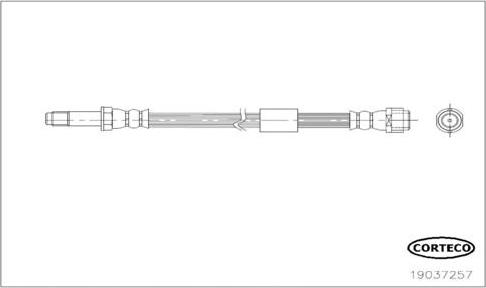 Corteco 19037257 - Bremžu šļūtene autodraugiem.lv