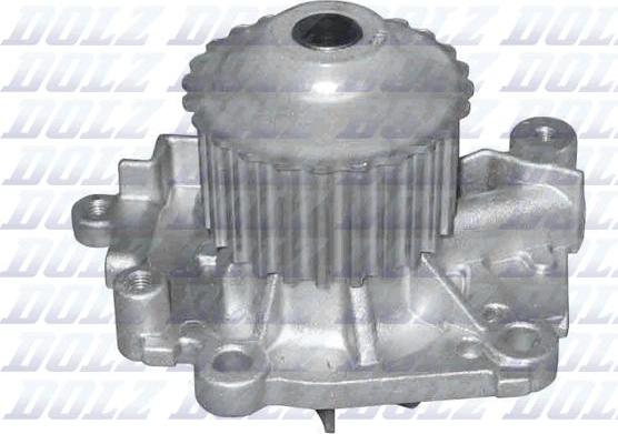 DOLZ R301 - Ūdenssūknis autodraugiem.lv