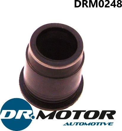 Dr.Motor DRM0248 - Blīve, Motora bloka galvas vāks autodraugiem.lv