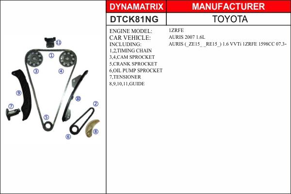 Dynamatrix DTCK81NG - Sadales vārpstas piedziņas ķēdes komplekts autodraugiem.lv