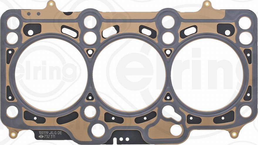 Elring 732.311 - Blīve, Motora bloka galva autodraugiem.lv