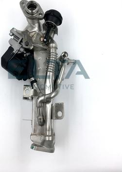 Elta Automotive EE7736 - Radiators, Izplūdes gāzu recirkulācija autodraugiem.lv