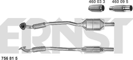 ERNST 756815 - Katalizators autodraugiem.lv