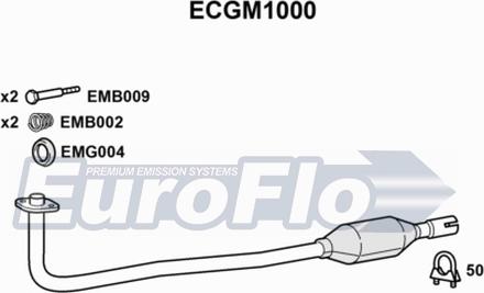 EuroFlo ECGM1000 - Katalizators autodraugiem.lv