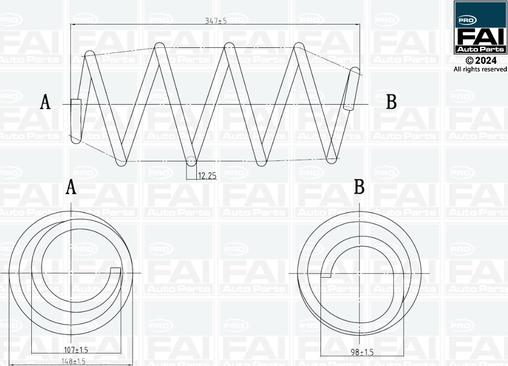 FAI AutoParts FPCS121 - Balstiekārtas atspere autodraugiem.lv