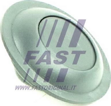 Fast FT95590 - Slēdzenes poga autodraugiem.lv