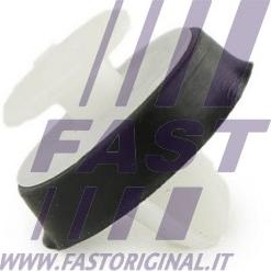 Fast FT96309 - Moldings / aizsarguzlika autodraugiem.lv