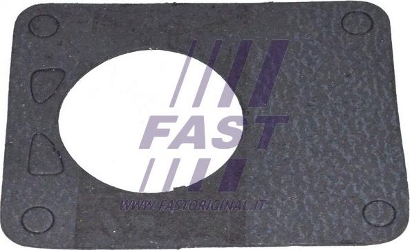 Fast FT49901 - Blīve, Vakuumsūknis autodraugiem.lv