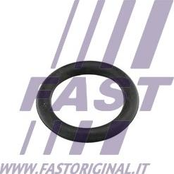 Fast FT49419 - Blīve, Ieplūdes kolektors autodraugiem.lv
