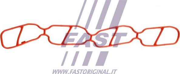 Fast FT49439 - Blīve, Ieplūdes kolektors autodraugiem.lv
