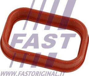 Fast FT49435 - Blīve, Ieplūdes kolektors autodraugiem.lv