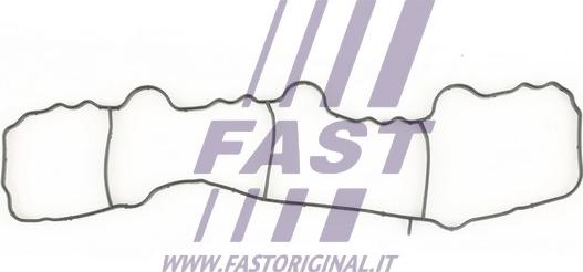 Fast FT49430 - Blīve, Ieplūdes kolektors autodraugiem.lv