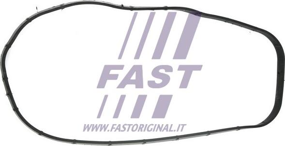 Fast FT49065 - Blīve, Stūres mehānisma karteris autodraugiem.lv