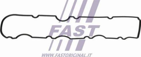 Fast FT49060 - Blīve, Motora bloka galvas vāks autodraugiem.lv