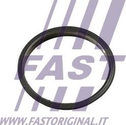 Fast FT49853 - Blīve, Vakuumsūknis autodraugiem.lv