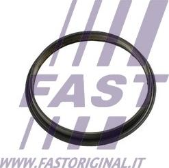 Fast FT49853 - Blīve, Vakuumsūknis autodraugiem.lv