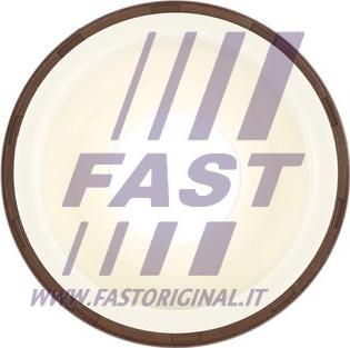 Fast FT49817 - Vārpstas blīvgredzens, Kloķvārpsta autodraugiem.lv