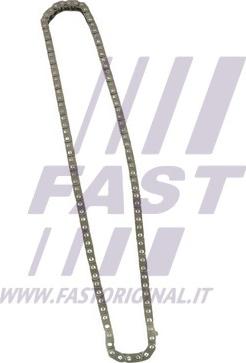 Fast FT41808 - Sadales vārpstas piedziņas ķēde autodraugiem.lv