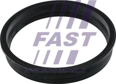 Fast FT48505 - Blīve, Degvielas daudzuma devējs autodraugiem.lv