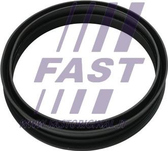 Fast FT48501 - Blīve, Degvielas daudzuma devējs autodraugiem.lv