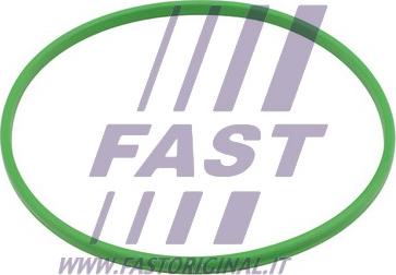Fast FT48503 - Blīve, Degvielas sūknis autodraugiem.lv