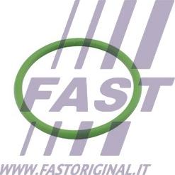 Fast FT48803 - Blīve, Turbīnas ieplūde (Kompresors) autodraugiem.lv
