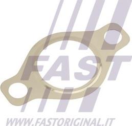 Fast FT50618 - Blīve, Izplūdes gāzu recirkulācijas vārsts autodraugiem.lv