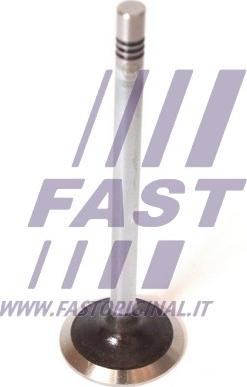 Fast FT50068 - Izplūdes vārsts autodraugiem.lv