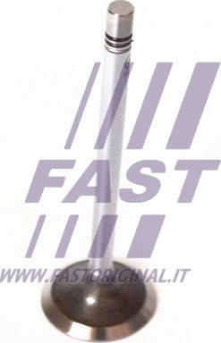 Fast FT50135 - Ieplūdes vārsts autodraugiem.lv