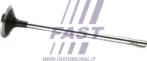 Fast FT50133 - Ieplūdes vārsts autodraugiem.lv